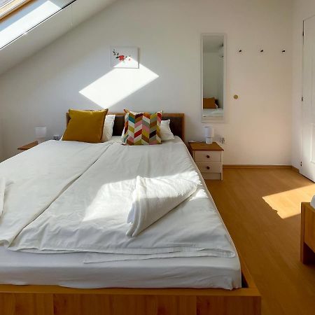Bed and Breakfast Tanyacsarda Panzio Baja Zewnętrze zdjęcie